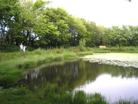 Fishing & picnic lake