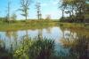Kingcroft fishing/picnic lake